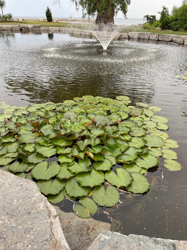 Gairloch Gardens 4