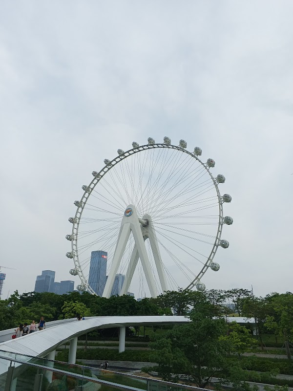 Shenzhen 6