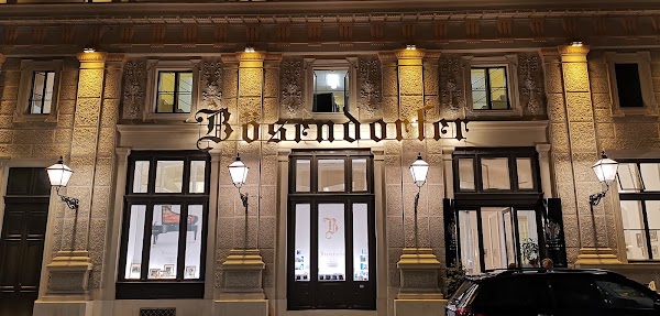 Bösendorfer Salon