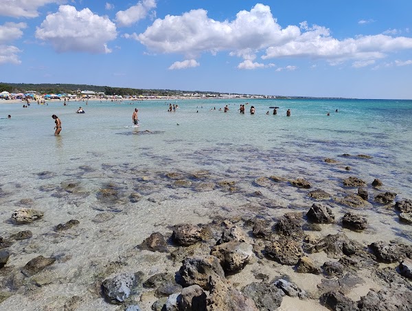 Punta Macolone Beach 5