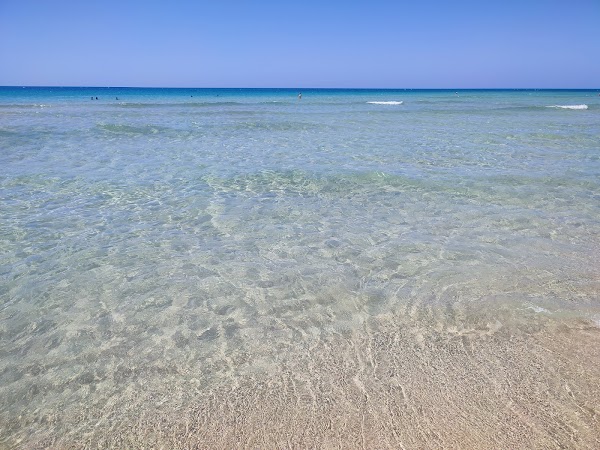 Punta Macolone Beach 4