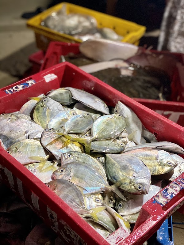 Tam Tiến Fish Market 3