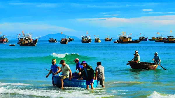 Tam Tiến Fish Market 2