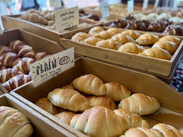 Artist Bakery 2