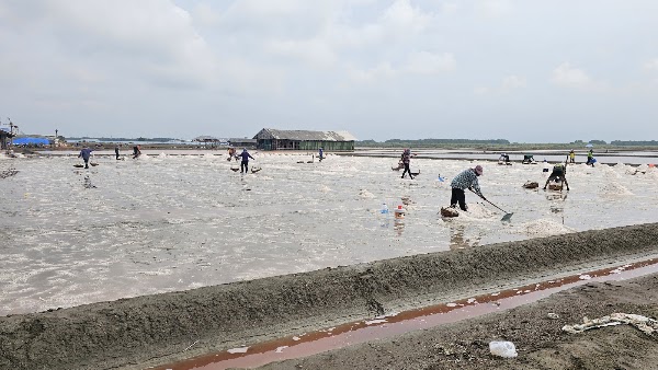 Salt Harvesting Farm