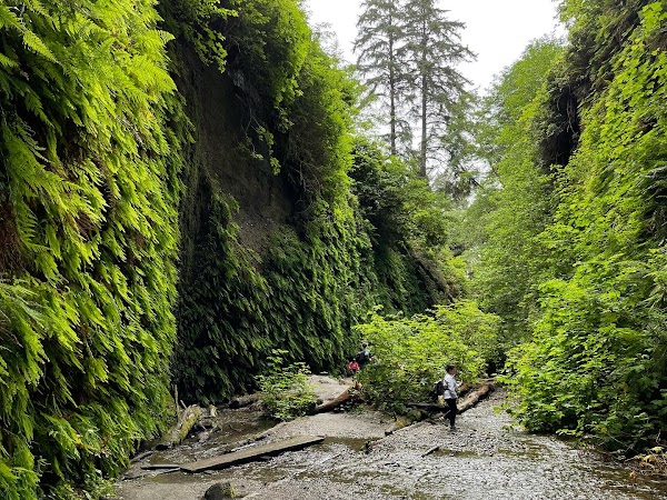 Fern Canyon Loop Trailhead 1