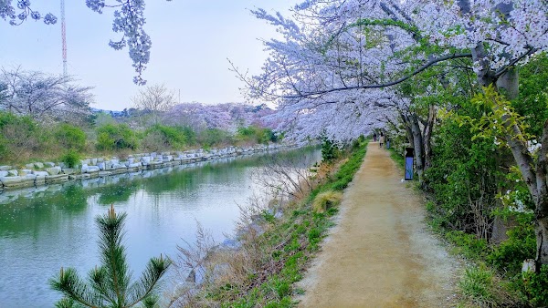 Gyeongpo Lake Plaza 3