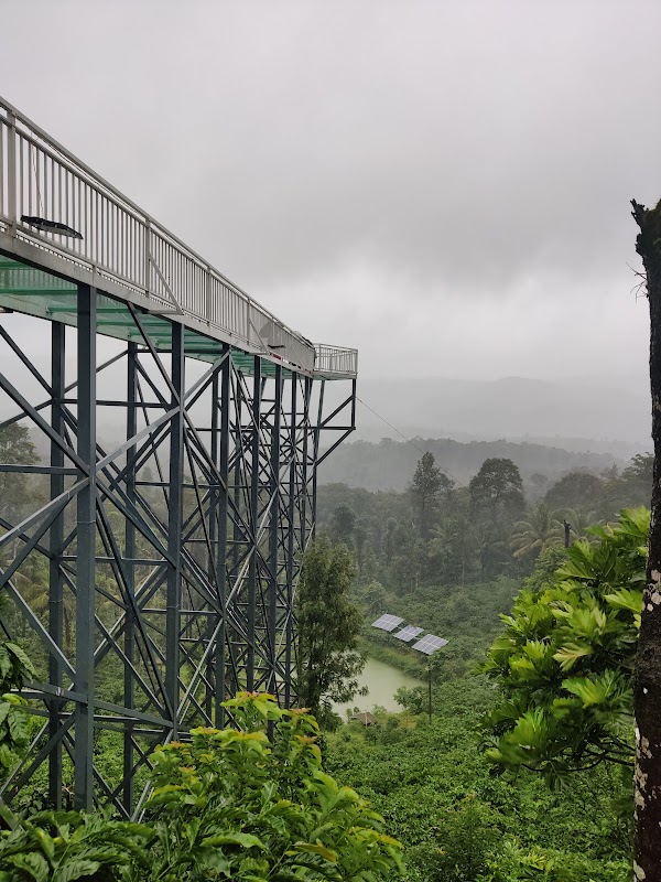 Pappys glass bridge near green parking