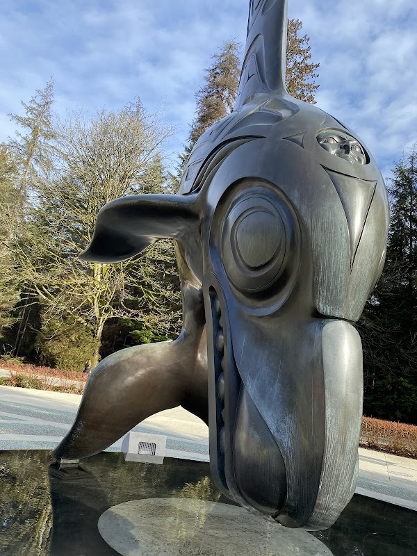 Vancouver Aquarium 2