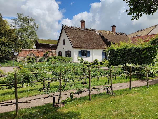 Kulturen