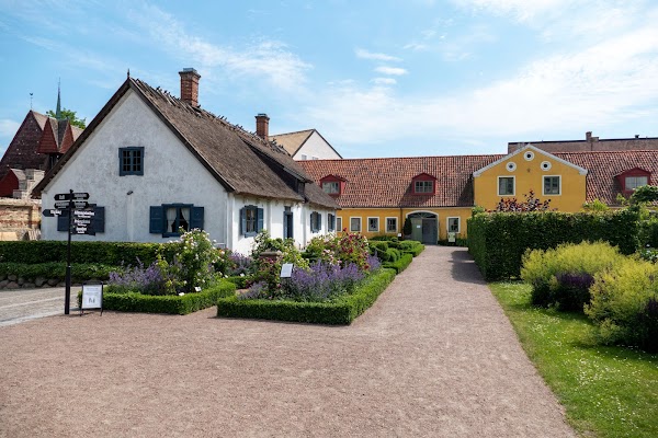 Kulturen 5