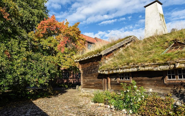 Kulturen 3
