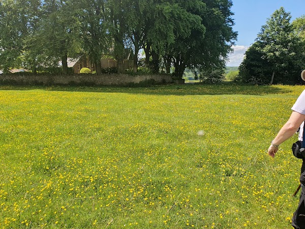 Minchinhampton Common 5