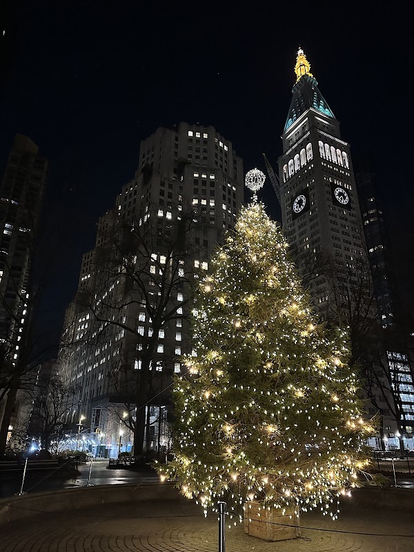 Madison Square Park 4