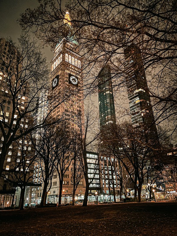 Madison Square Park 3