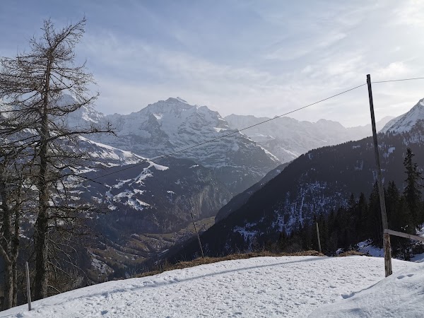 Sulwald