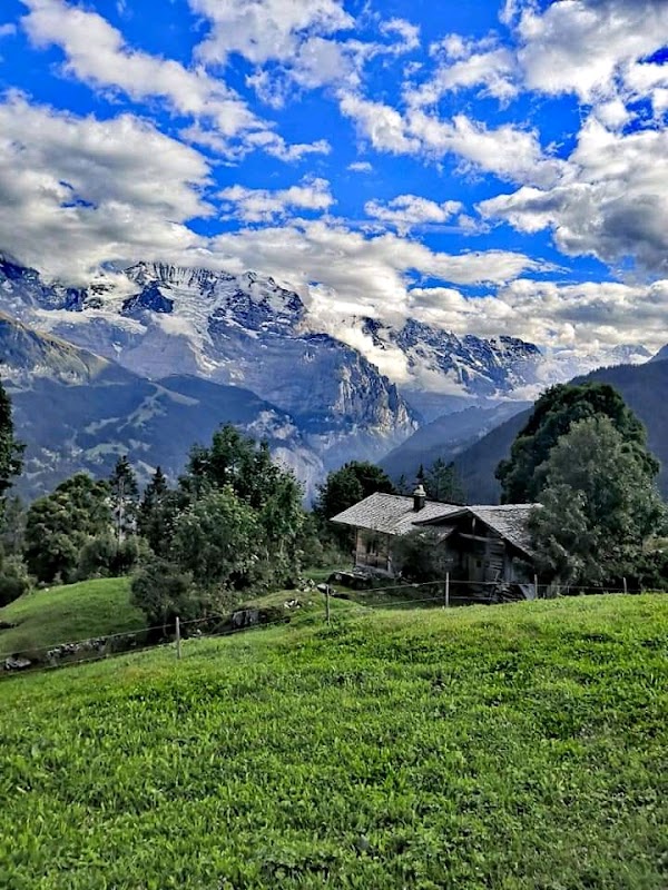 Sulwald 4