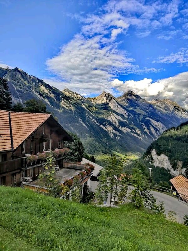 Sulwald 3