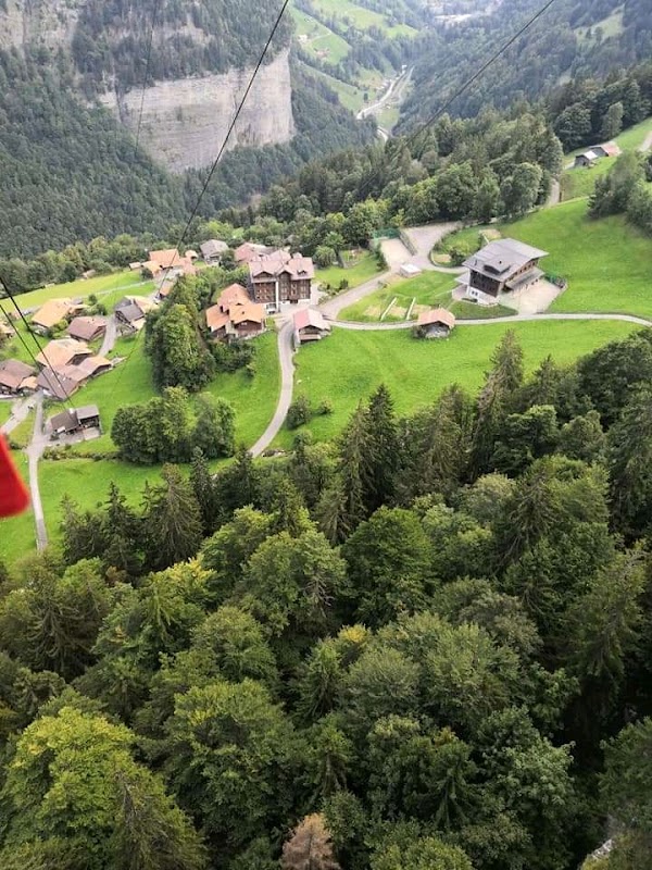 Sulwald 2