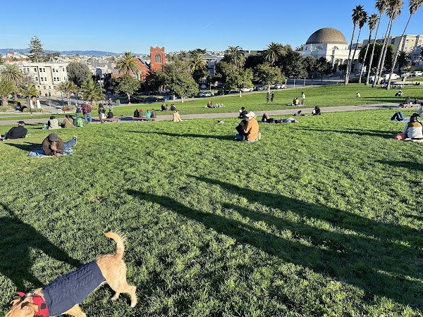 Dolores Park 5