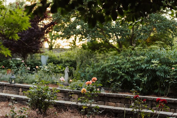 Rosie's Coffee & Wine Garden 3