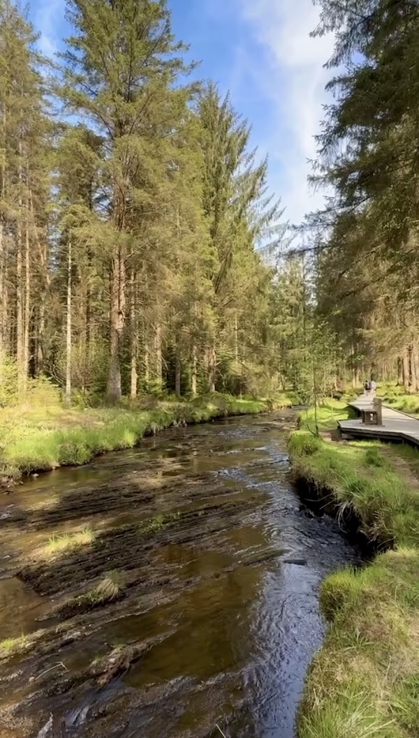 Source of the River Severn 4