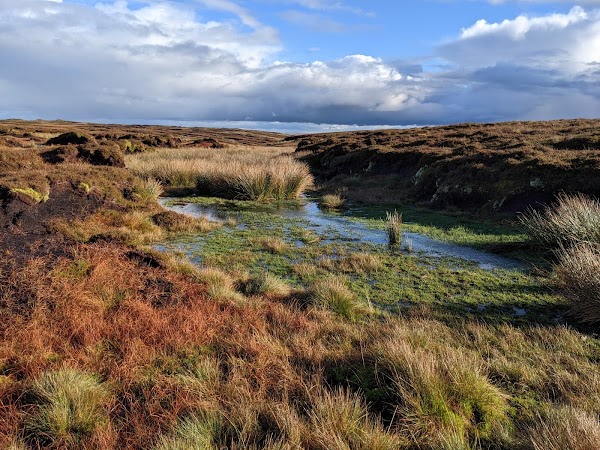 Source of the River Severn 2