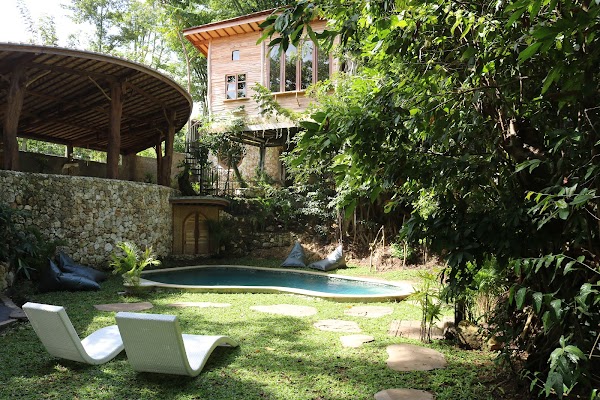 Roots Tree House