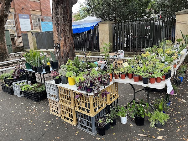Rozelle Collectors Markets 4