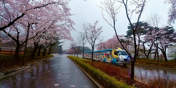 Noryangjin-dong 5