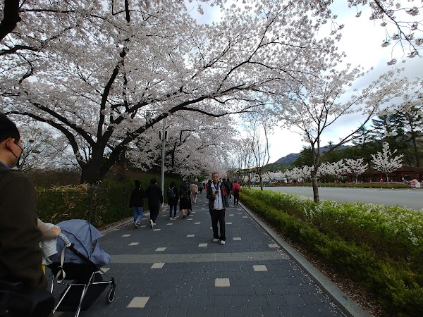 Noryangjin-dong 3