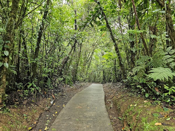 Rio Celeste y Los Teñideros 2