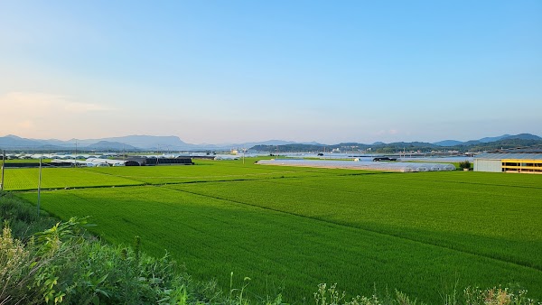 Damyang-gun 4