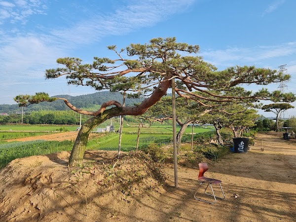 Damyang-gun 3