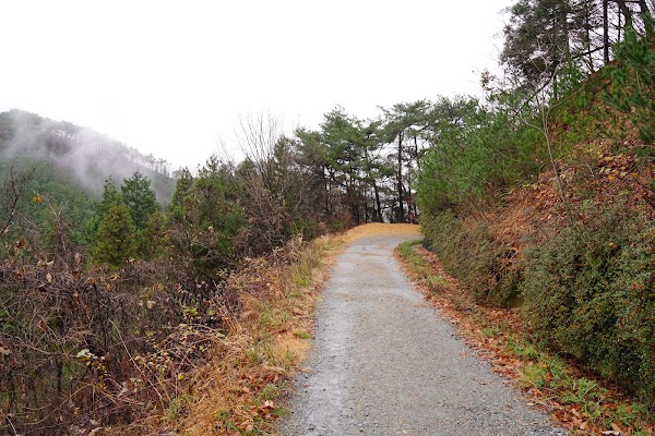 Damyang-gun 2