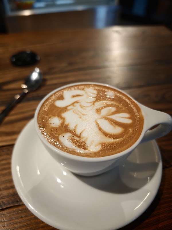 Red Rabbit Coffee Parnell 4