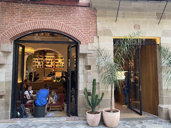 Perro viejo Málaga