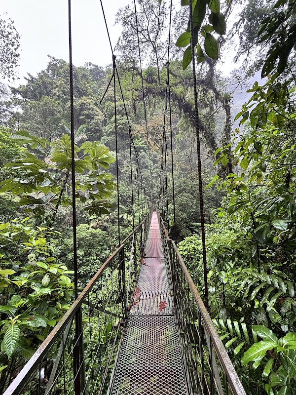 Parque Arenal Mundo Aventura 4