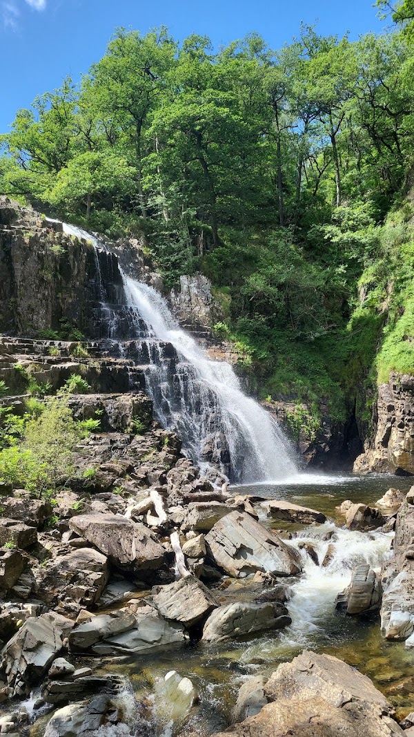 Coed y Brenin Forest Park 1