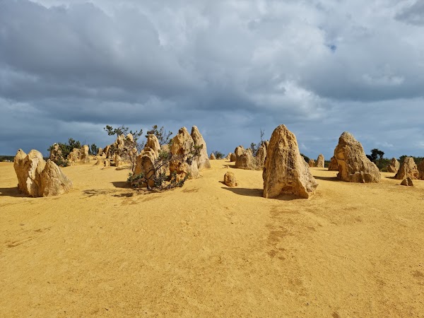 Nambung National Park 1