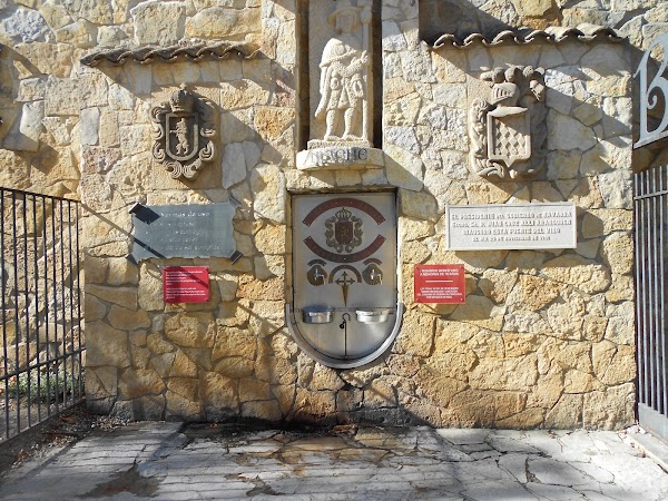 Camino 22