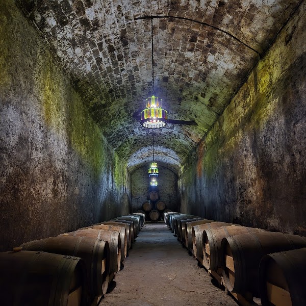 Free Wine Fountain at Bodegas Irache 2