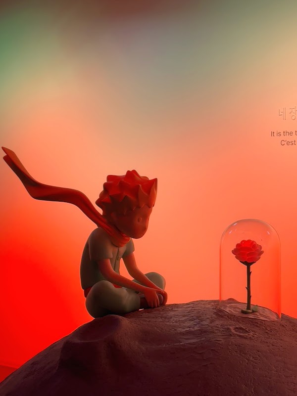 Little Prince House 3