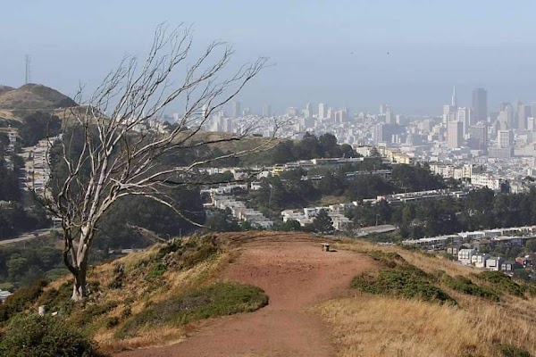 Twin Peaks 5