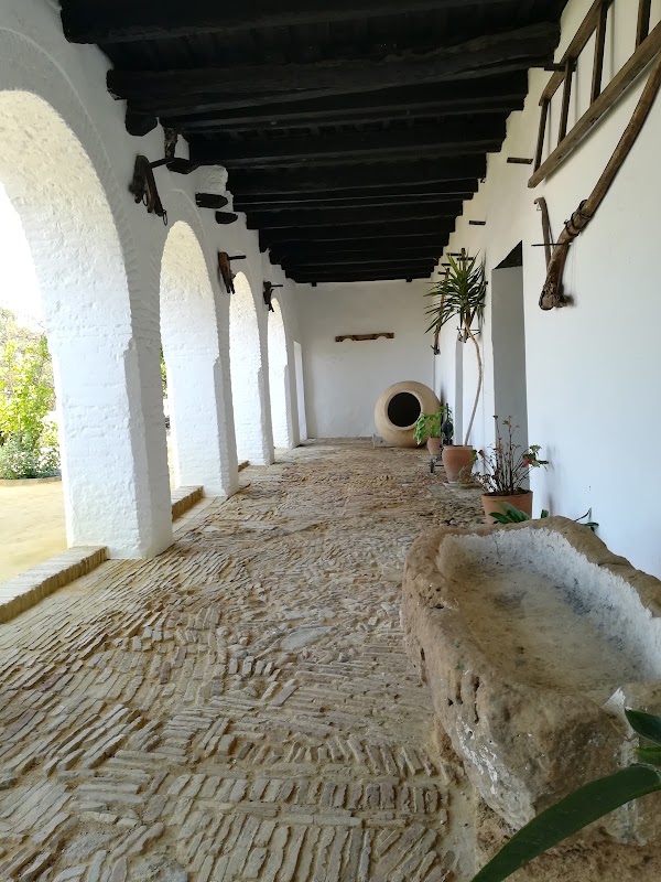 FUNDACIÓN CASA MEDINA SIDONIA 4