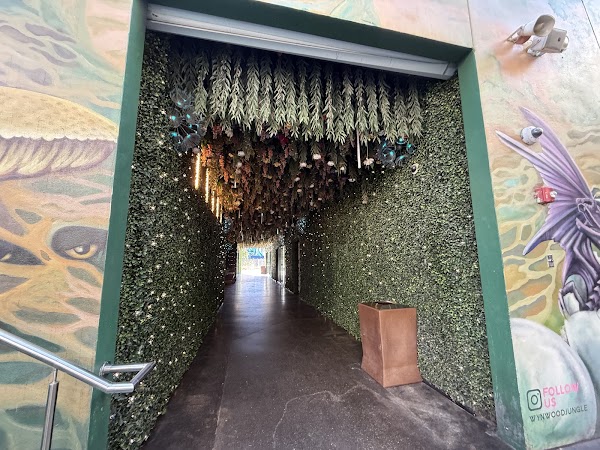 Wynwood Jungle