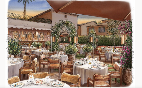 Mimosa - Saint-Tropez