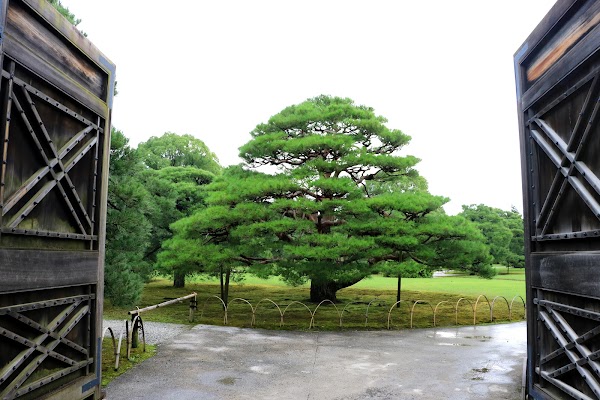 Ninomaru Garden 3