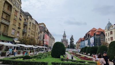 Timișoara 1