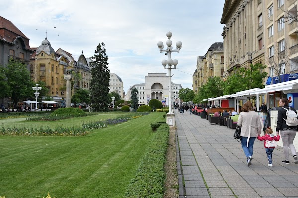 Timișoara 5